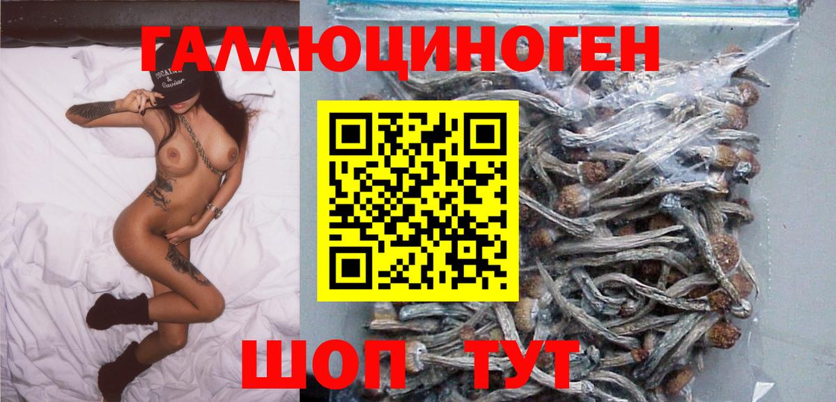 Шали  Галлюциногенные грибы мицелий  Вход с VPN 