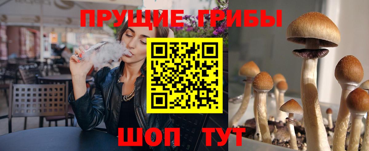 Галлюциногенные грибы Cubensis Шали