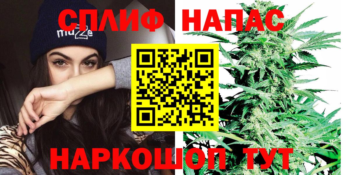 Бошки Шишки сатива Шали